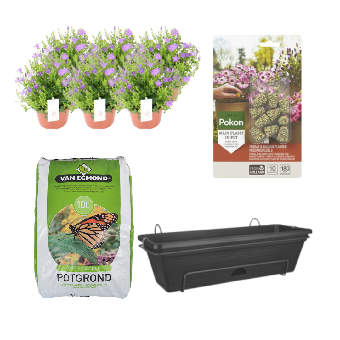 Balkonpflanzgefäß Schwarz DIY-Set - Campanula