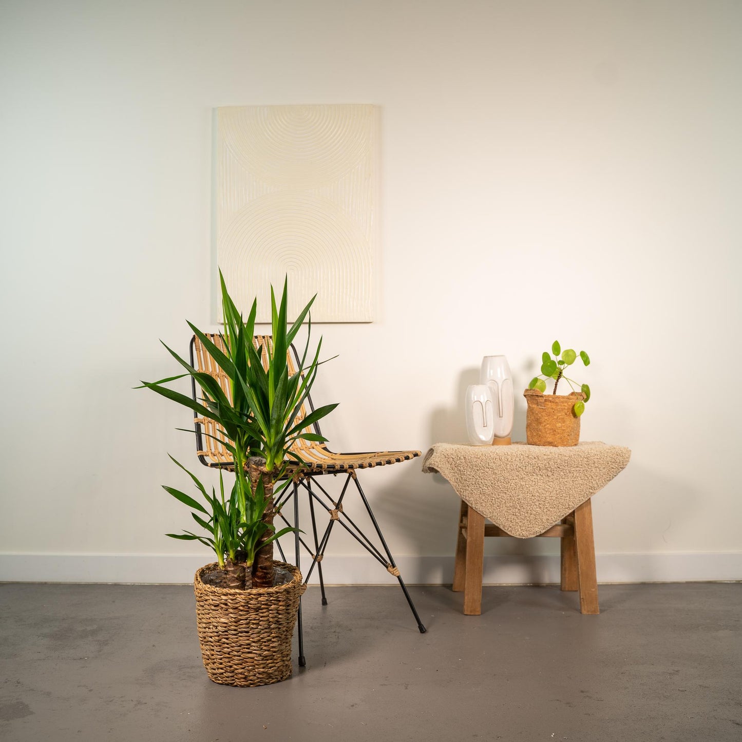 Yucca Palme 90 cm – Pflegeleichte exotische Zimmerpflanze