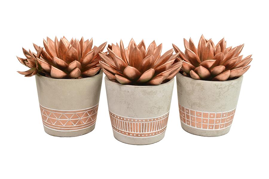 Echeveria Coloured Bronze in Cement Copper Ceramics - 3 stuks - Ø10,5cm - ↕15cm
