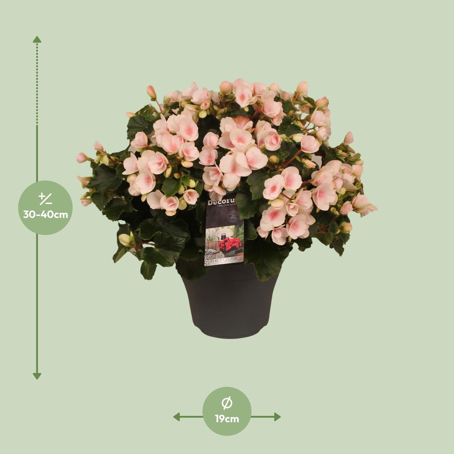 Betulia Light 19cm Outdoor Decorum - Ø19cm - ↕35cm