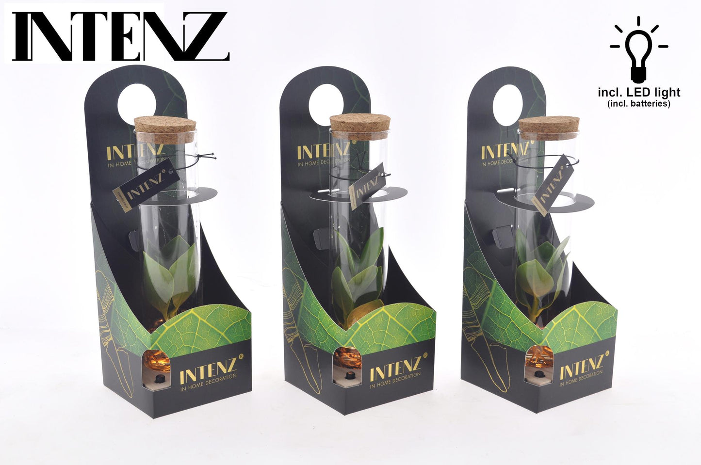 Clusia In Tube Glas + LED + Verpackung - Ø5cm - ↕10cm