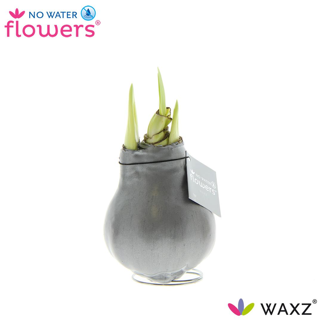 No Water Flowers Waxz® Metallic Silver - ↕15cm