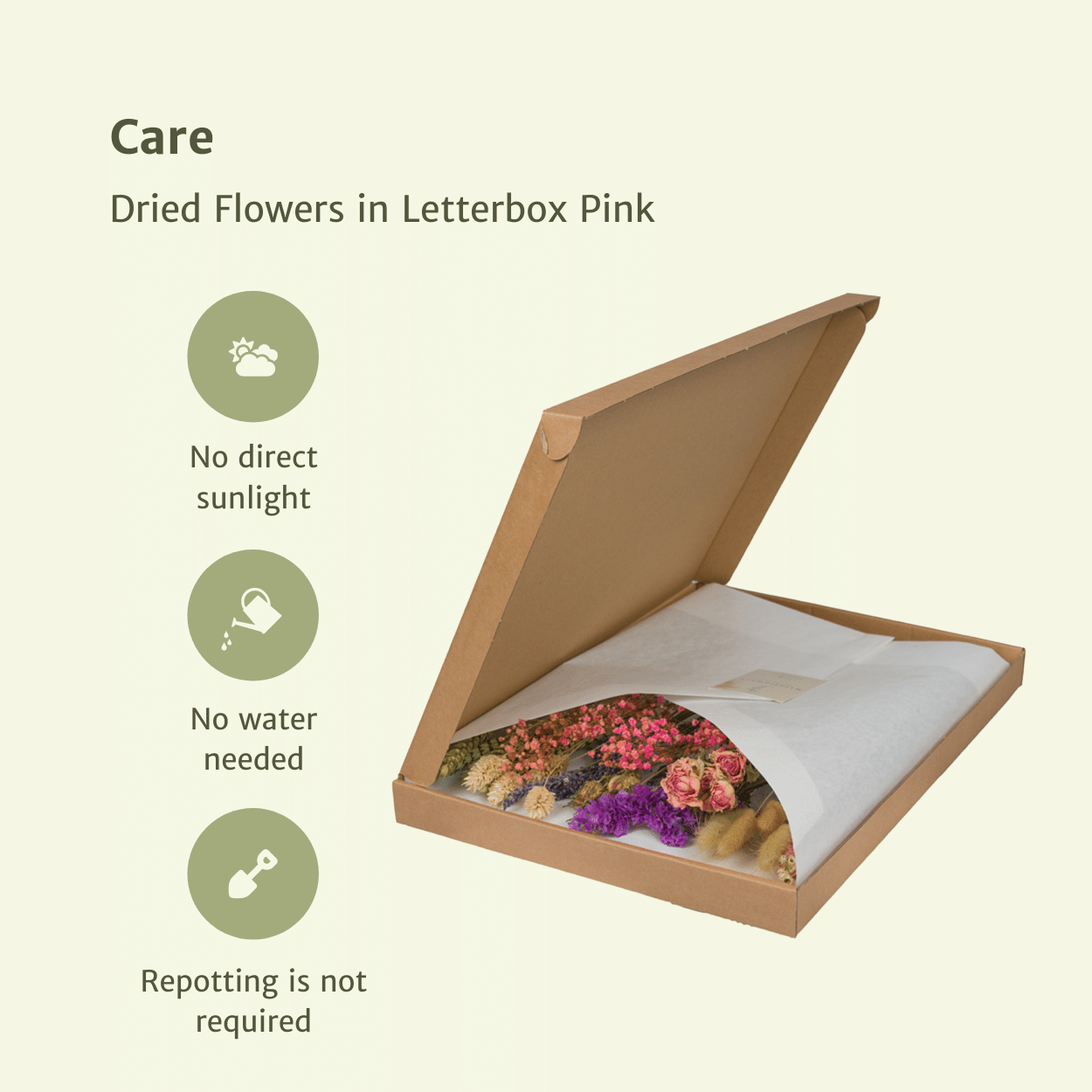 Trockenblumen im Briefkasten - Pink
