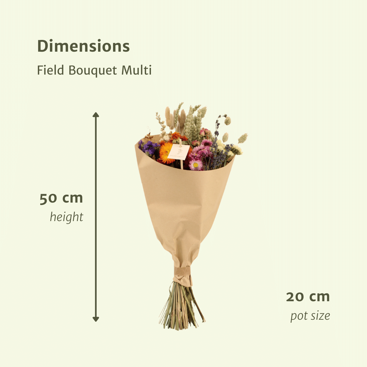Trockenblumen Feldblumenstrauß Multi - Ø20cm - ↕50cm