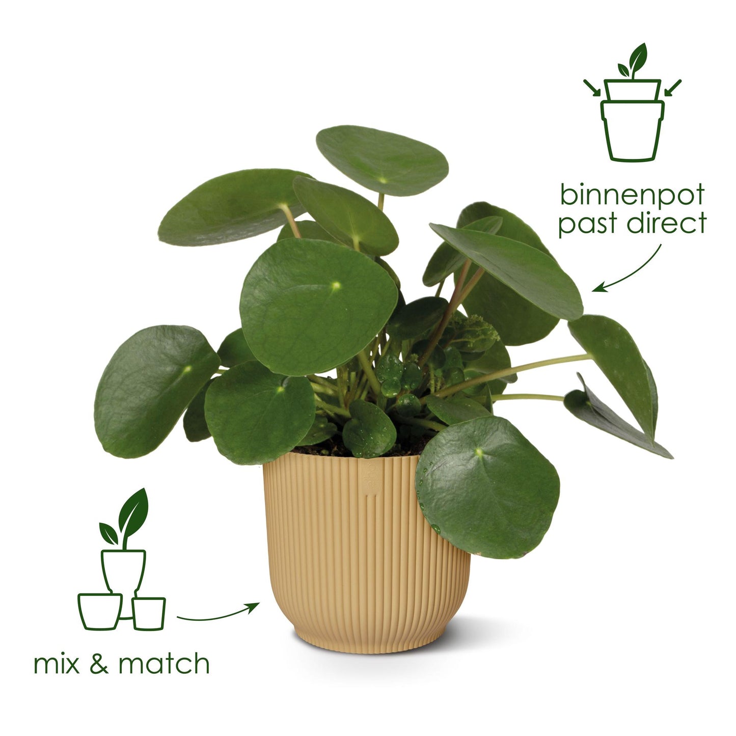 Elho Vibes Fold Pflanztopf Ø14cm – Modern & Sonnengelb