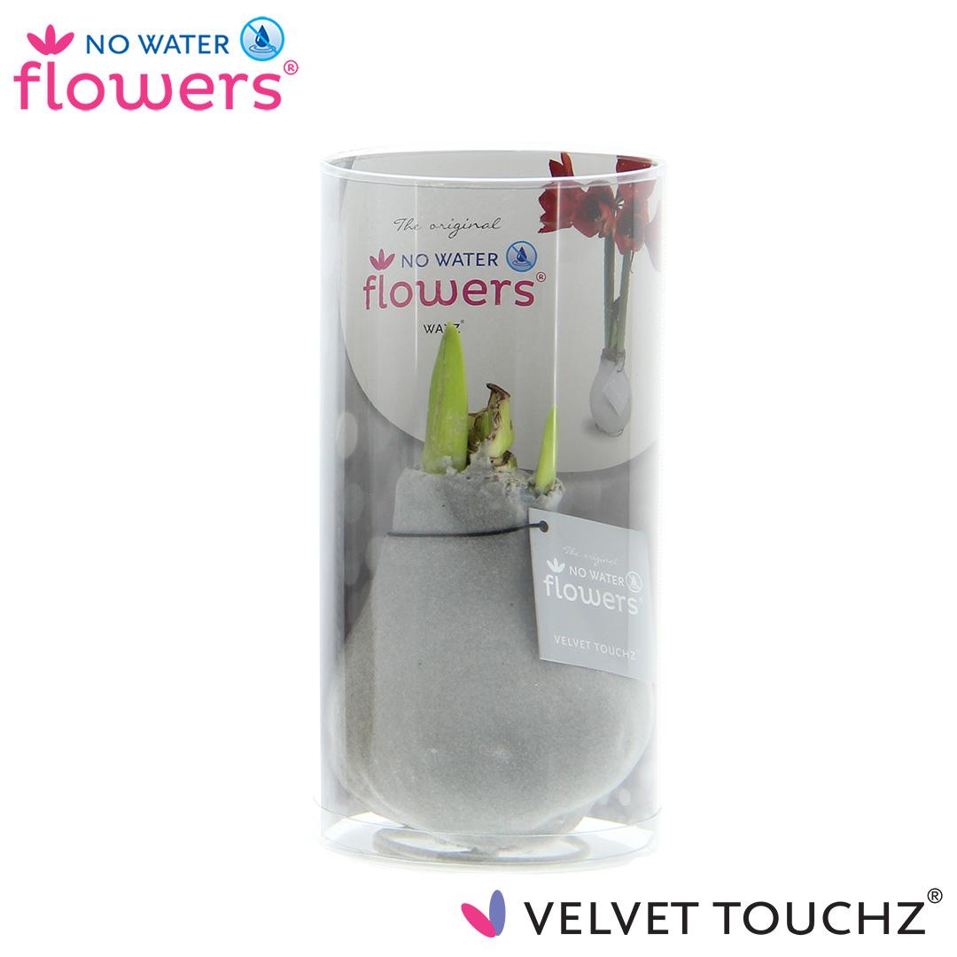 No Water Flowers Velvet Touchz® Zilver In Koker - ↕15cm
