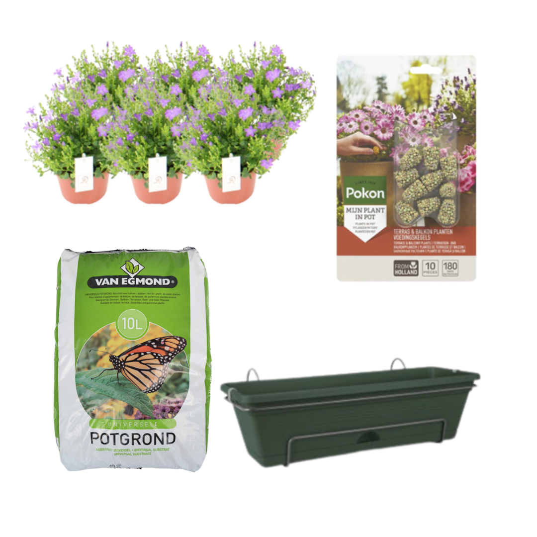 Balkonpflanzgefäß Grün DIY-Set - Campanula