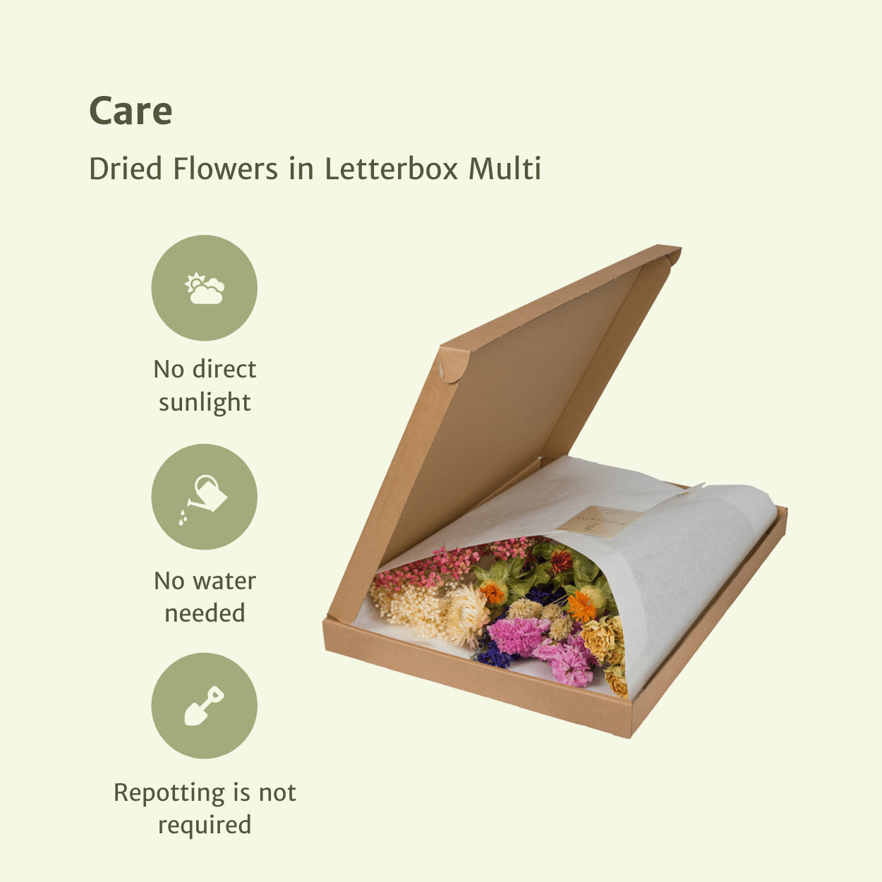 Trockenblumen im Briefkasten - Multi