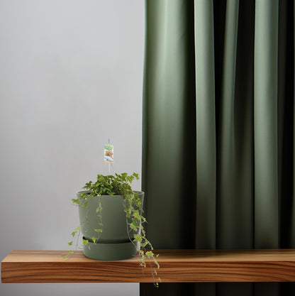 Hedera Helix Geelbont - Hangpot Wit / Basic - Ø17cm - ↕cm