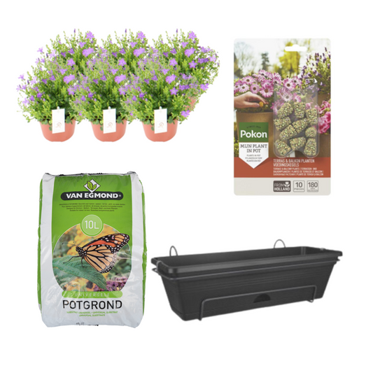 Balkonpflanzgefäß Schwarz DIY-Set - Campanula