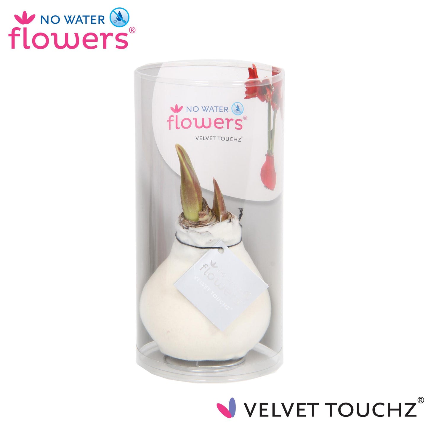 No Water Flowers Velvet Touchz® White In Koker - ↕15cm
