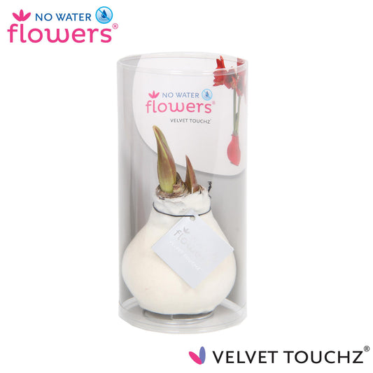 No Water Flowers Velvet Touchz® White In Koker - ↕15cm