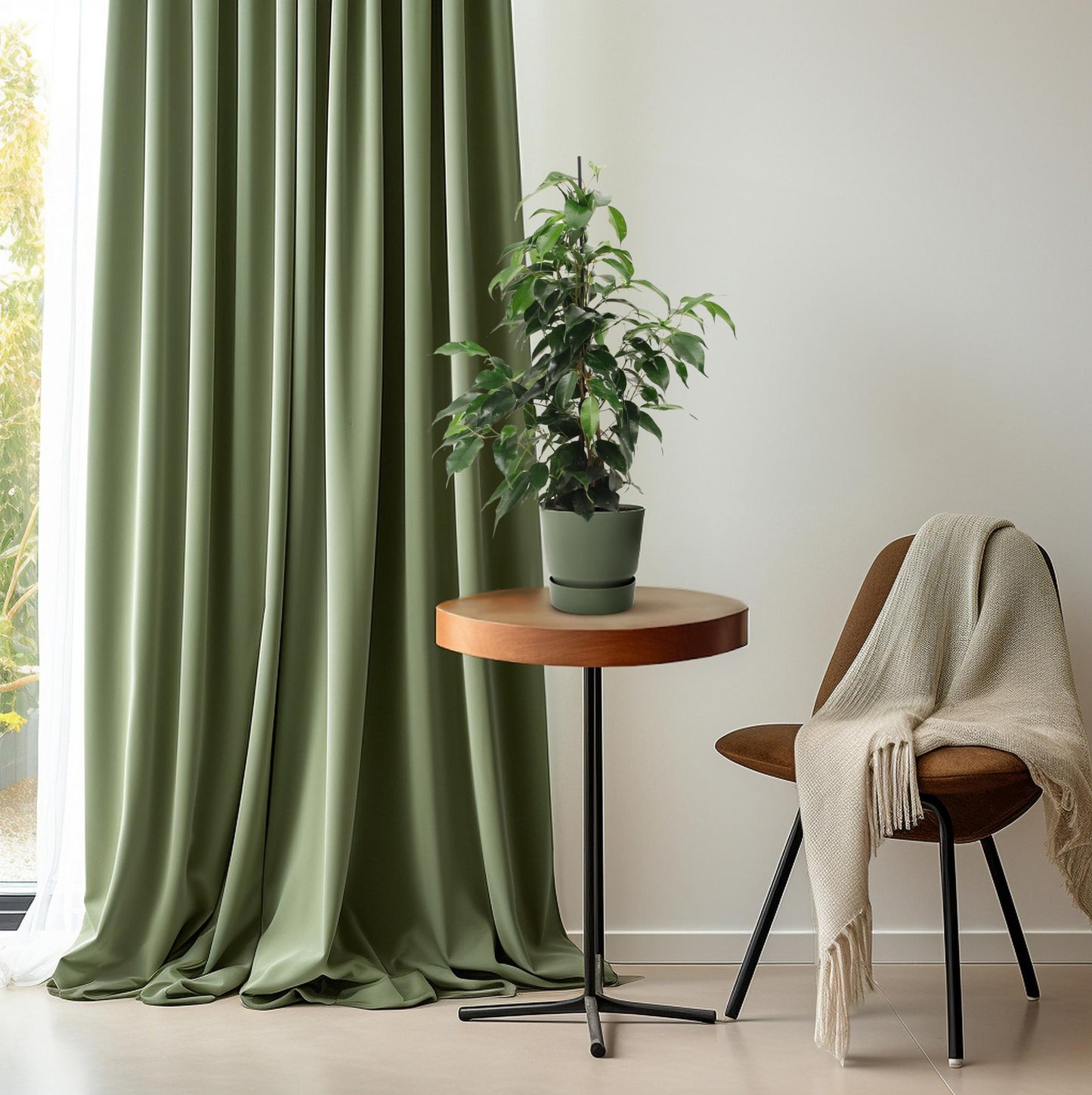Ficus Benjamina Danielle - Ø14cm - ↕55cm