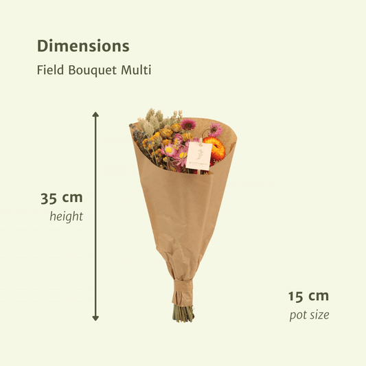Trockenblumen Feldblumenstrauß Multi - Ø15cm - ↕35cm