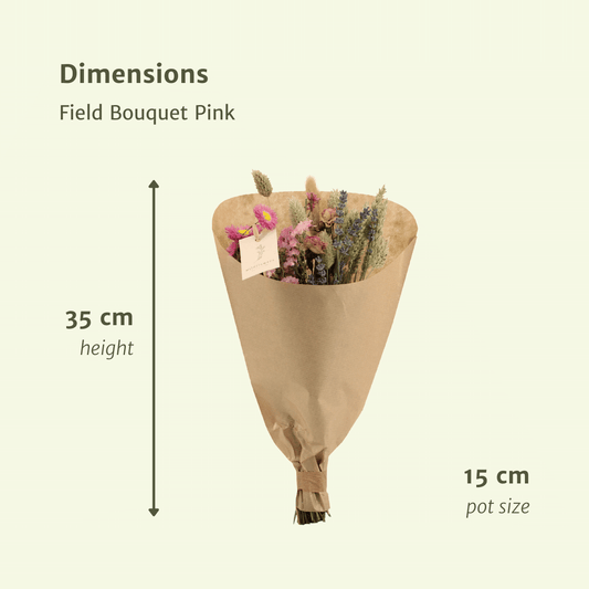 Trockenblumen Feldblumenstrauß Rosa - Ø15cm - ↕35cm
