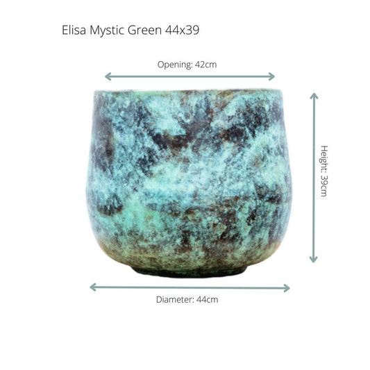 Pfeilblatt 'Mystic Green' – Elegante Zimmerpflanze 39 cm