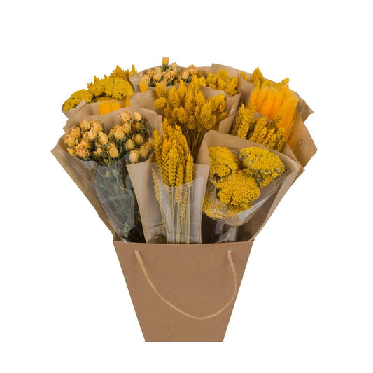 Dried Mono Mix Yellow - 12 Stücke - ↕50 cm
