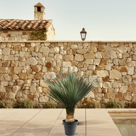 Blaue Palmlilie (Yucca Rostrata) 120 cm – Solitärpflanze