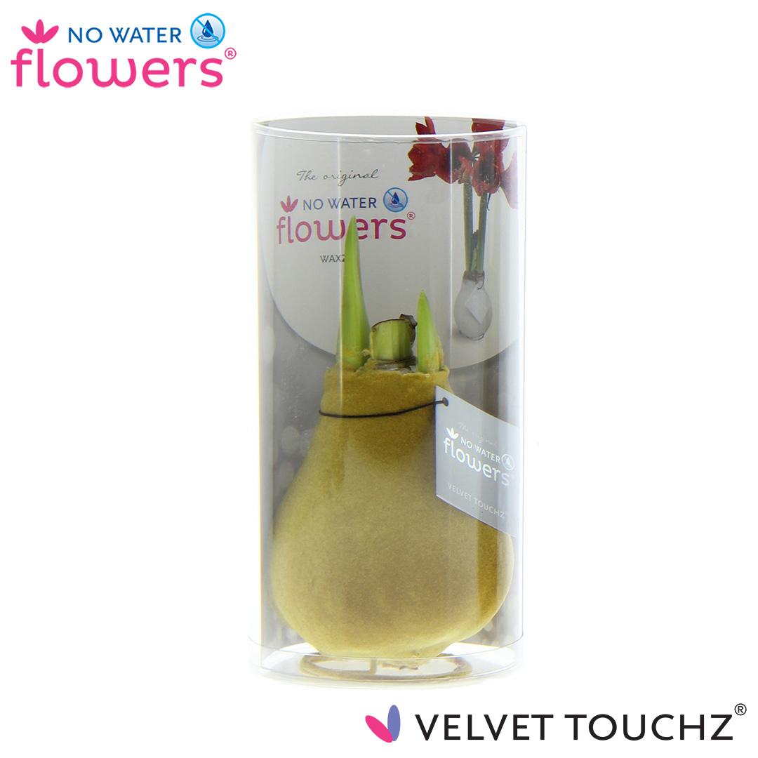 No Water Flowers Velvet Touchz® Gold In Koker - ↕15cm