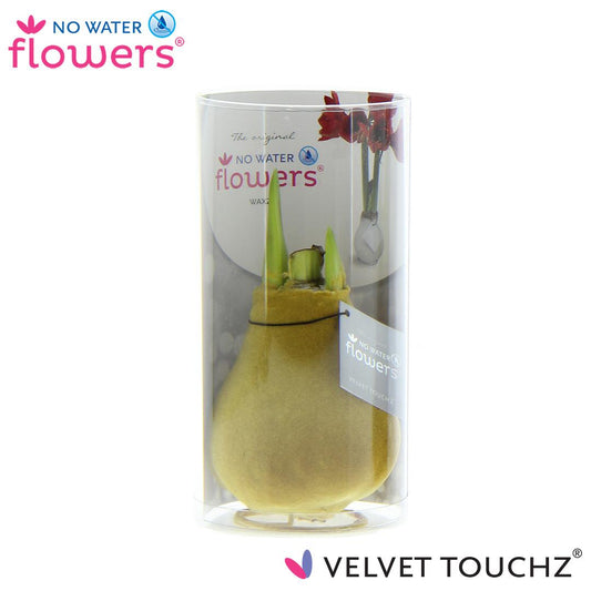 No Water Flowers Velvet Touchz® Gold In Koker - ↕15cm