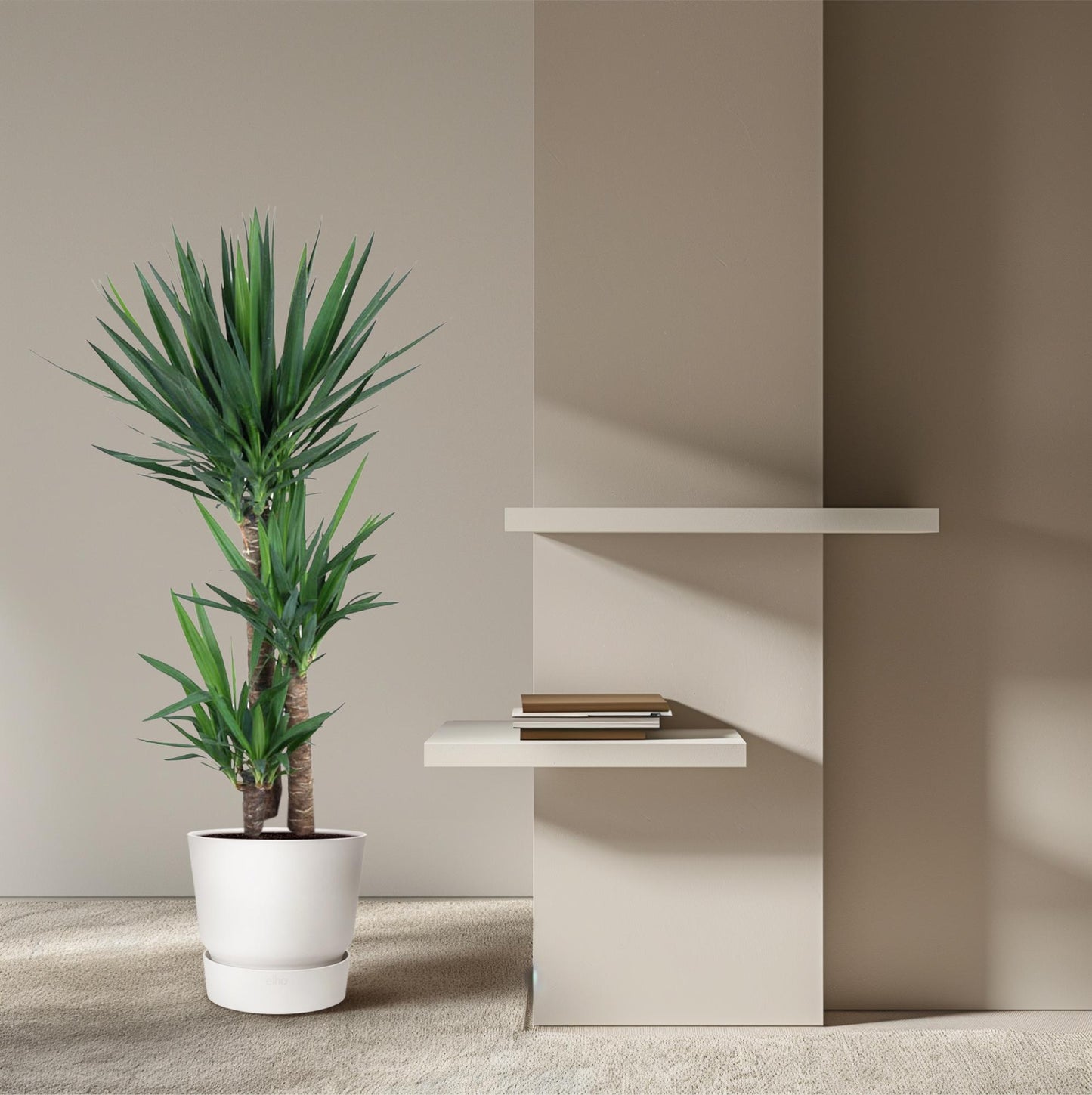 Yucca Palme 140 cm – Eleganter Elefantenfuß für Zuhause