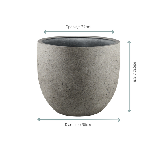 Beton Blumentopf Grigio – Groß, Modern & Robust