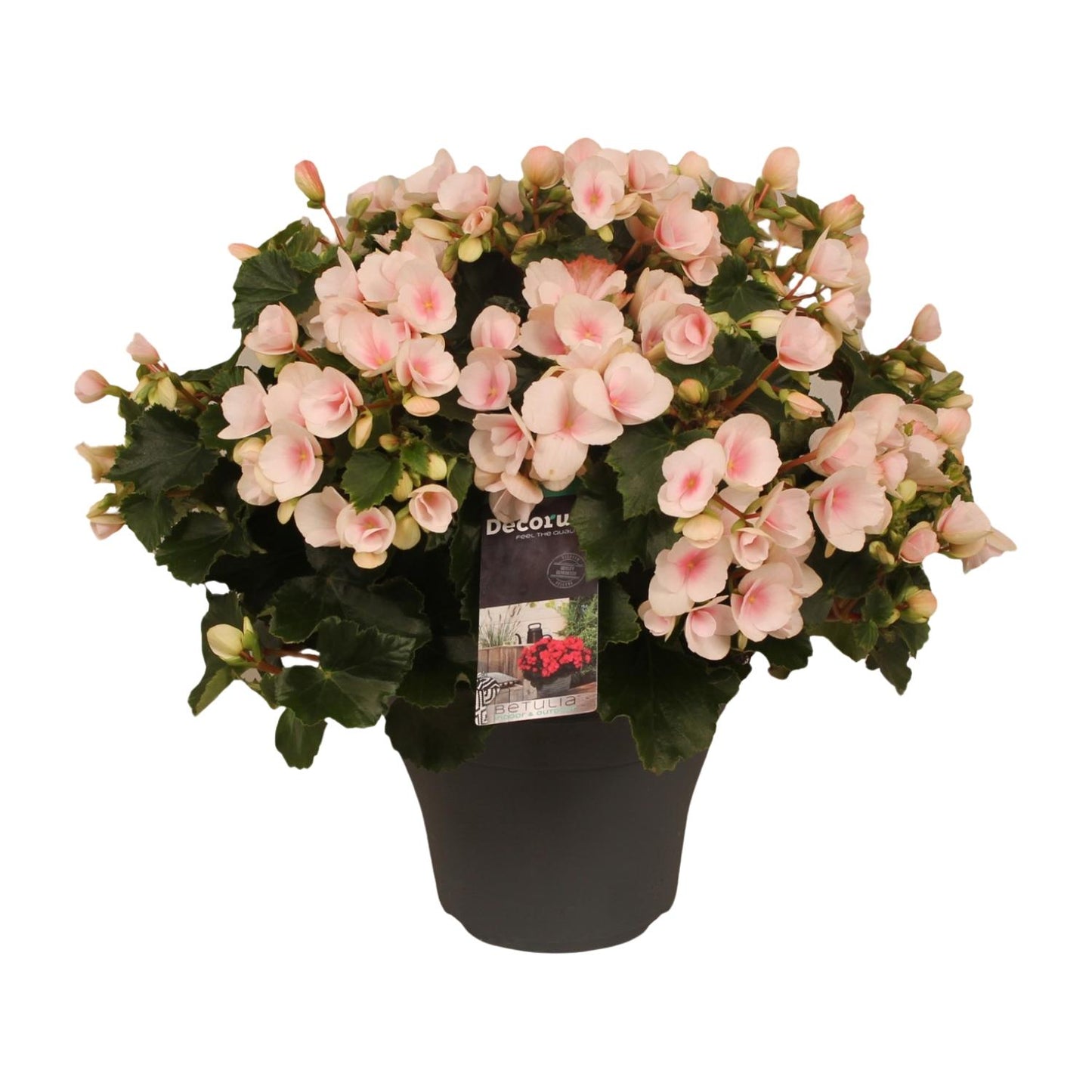 Betulia Light 19cm Outdoor Decorum - Ø19cm - ↕35cm