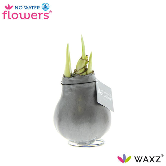 No Water Flowers Waxz® Metallic Silver - ↕15cm