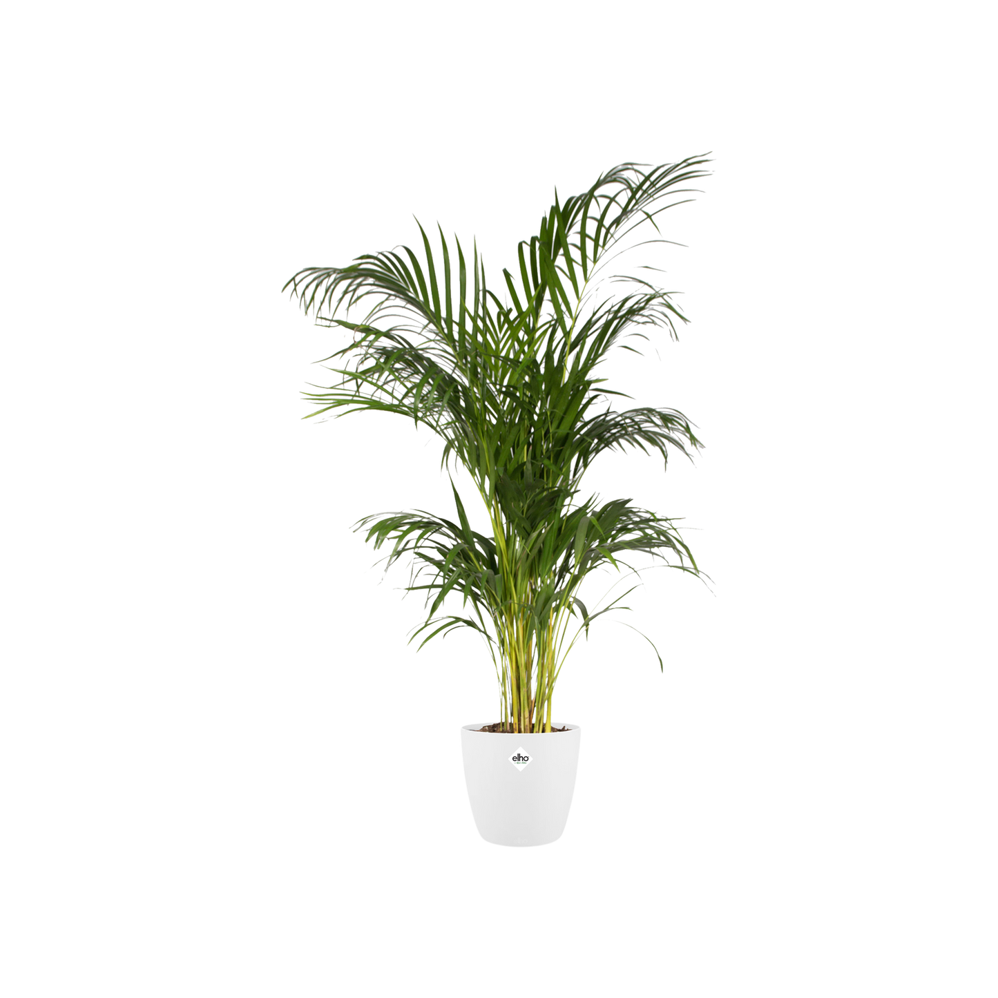 Elho Brussels Round Pflanztopf Weiß Ø20cm Innen & Außen