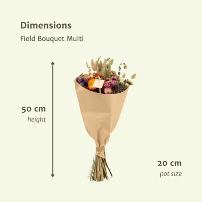 Trockenblumen Feldblumenstrauß Multi - Ø20cm - ↕50cm