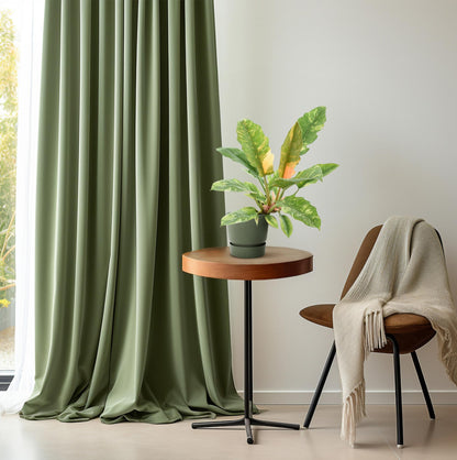 Philodendron Narrow 'Ring Of Fire' P14 - Ø14cm - ↕48cm