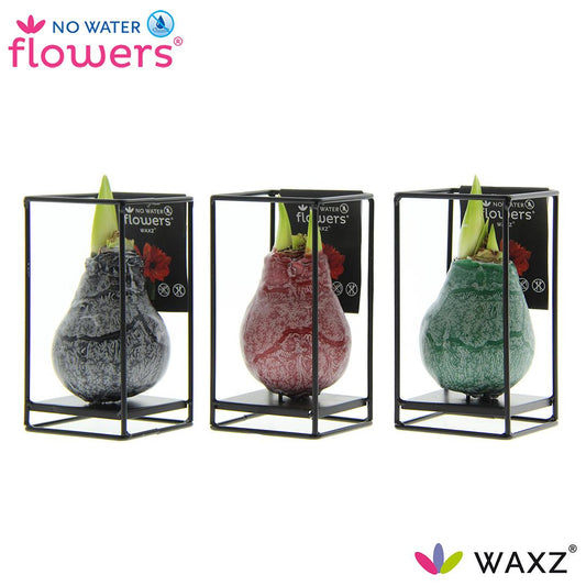 No Water Flowers Waxz Formz Industrial Mix - 3 Stücke - Ø7 cm - ↕15 cm