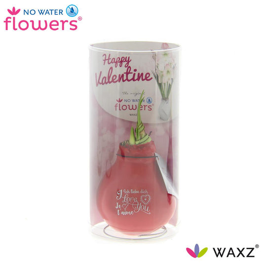 No Water Flowers Waxz® Message Printz Valentijn In Koker - ↕20cm