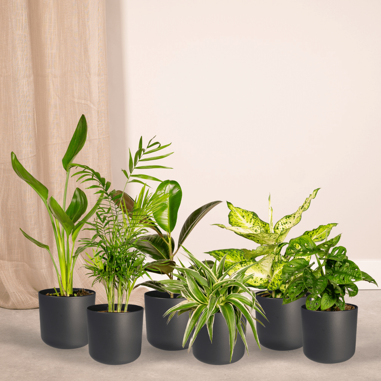 Überraschungsbox - Ø12cm - ↕25cm - x10