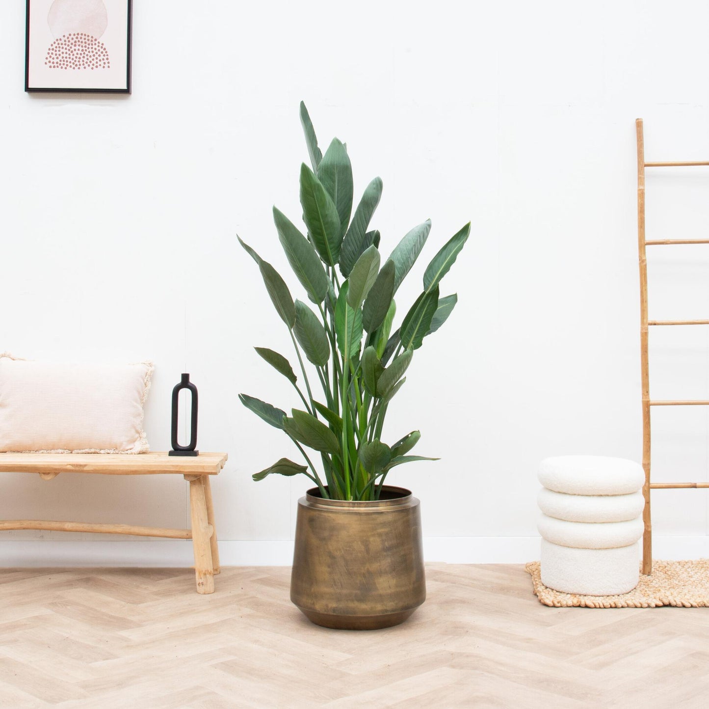Vintage Gold Pflanztopf Ø46 cm für Innenräume