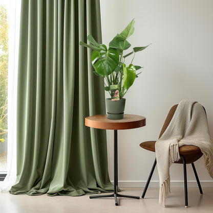 Monstera Deliciosa - Ø17cm - ↕60cm