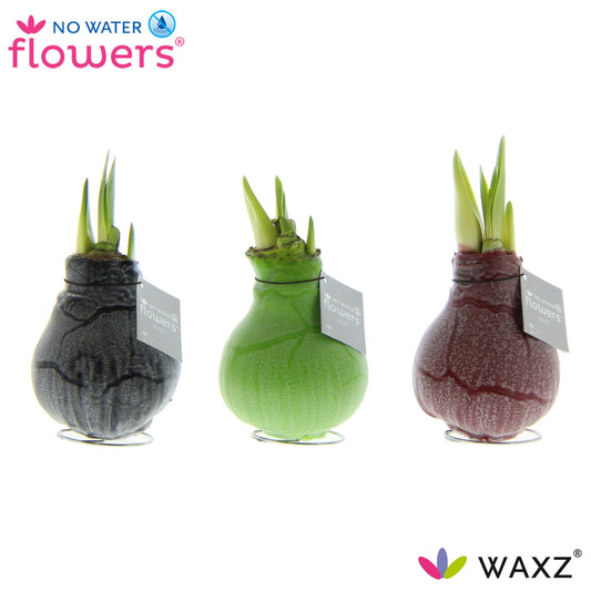 No Water Flowers Waxz Marble - 3 Stücke - Ø7 cm - ↕15 cm
