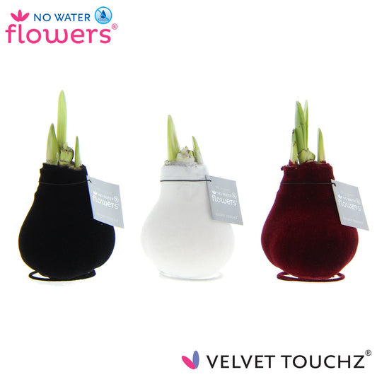 No Water Flowers Velvet Touchz Classic Mix - 3 stuks - Ø7 cm - ↕15 cm