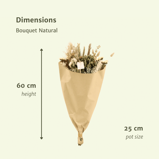 Trockenblumen Feldblumenstrauß Natürlich - Ø25cm - ↕60cm