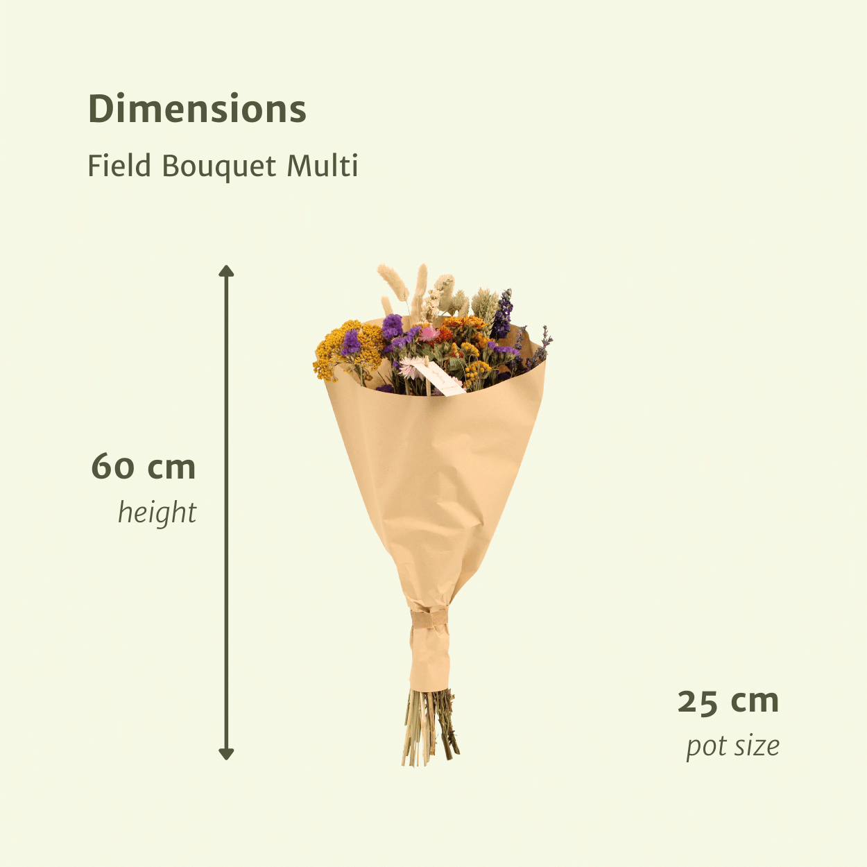 Trockenblumen Feldblumenstrauß Multi - Ø25cm - ↕60cm