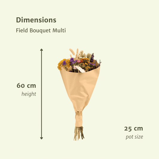 Trockenblumen Feldblumenstrauß Multi - Ø25cm - ↕60cm