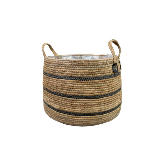 Korbmarante 'Isla Black' – Exotische Zimmerpflanze 43 cm