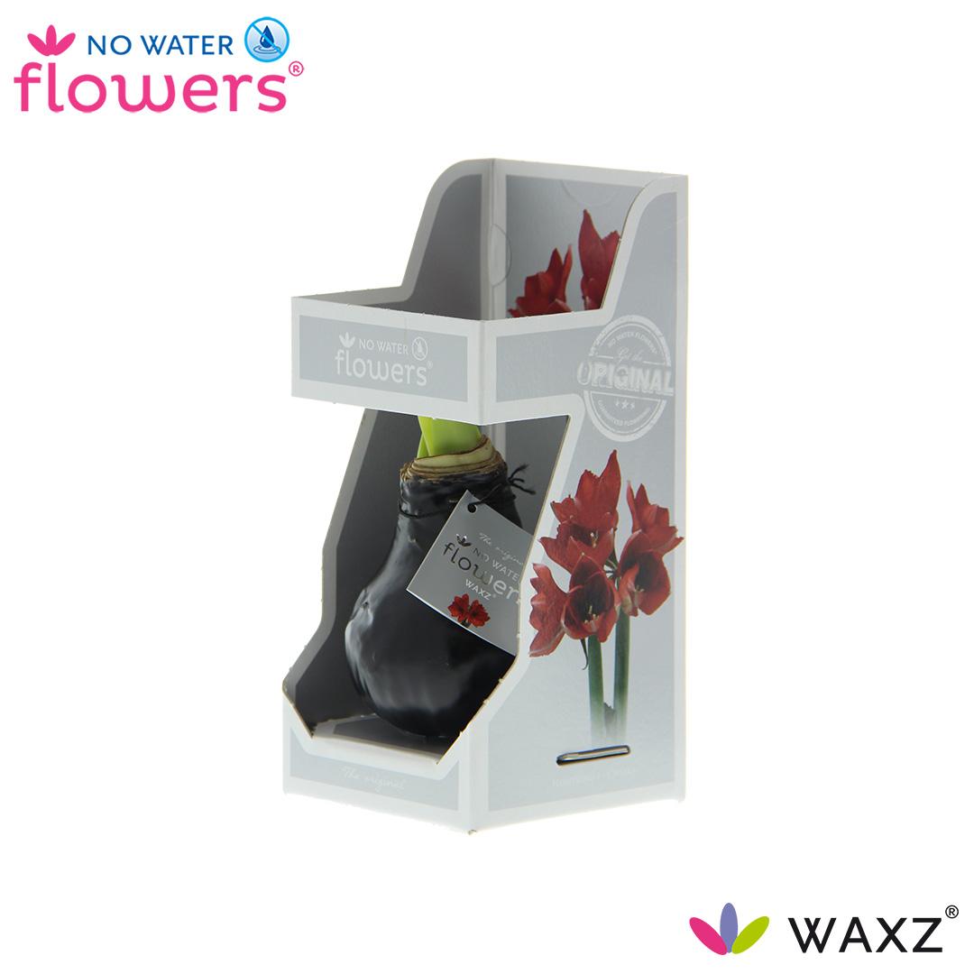 No Water Flowers Waxz® Black In Gift Box - ↕15cm