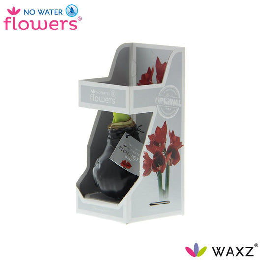No Water Flowers Waxz® Black In Gift Box - ↕15cm