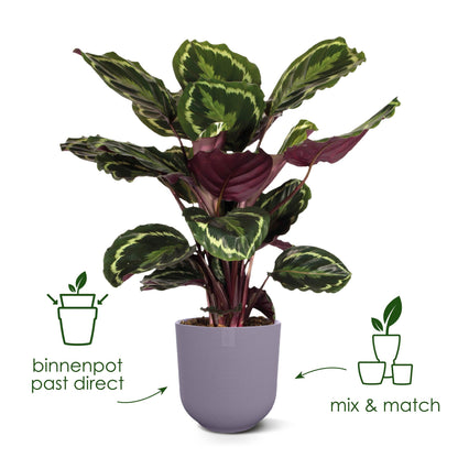 Blumentopf Jazz Round – Toskanisches Rot Ø14 cm