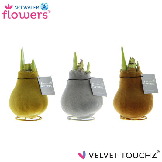 No Water Flowers Velvet Touchz Metallic Mix - 3 Stücke - Ø7 cm - ↕15 cm