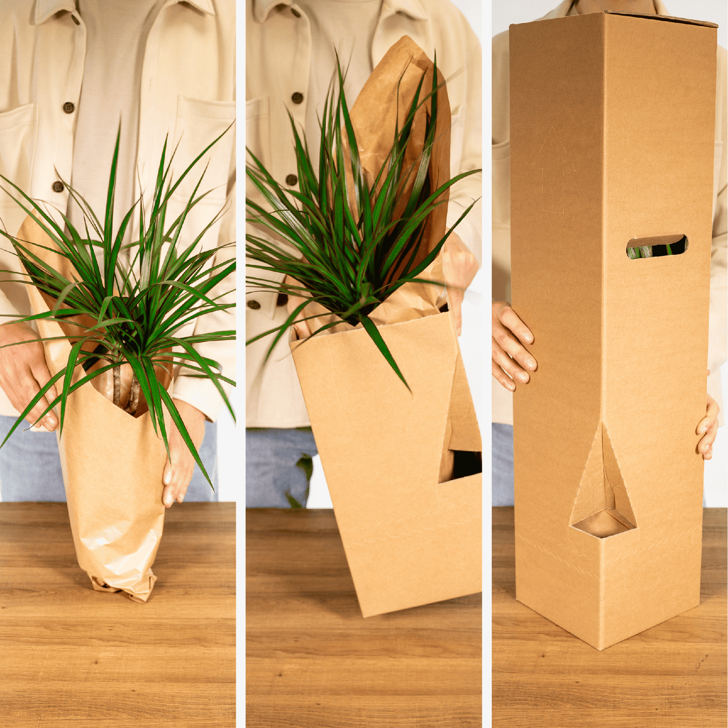 Überraschungsbox - Ø12cm - ↕25cm - x5