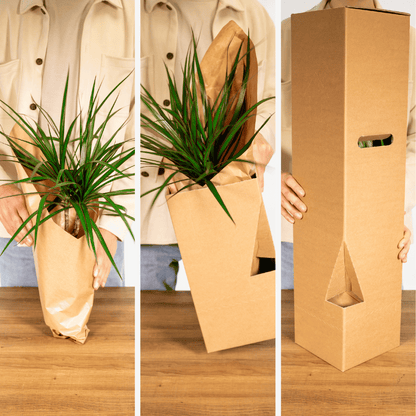 Überraschungsbox - Ø12cm - ↕25cm - x5