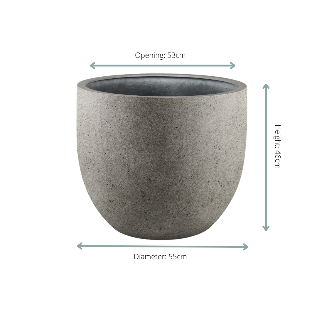 Beton Pflanztopf Grigio Egg – Modern & Pflegeleicht D55xH46