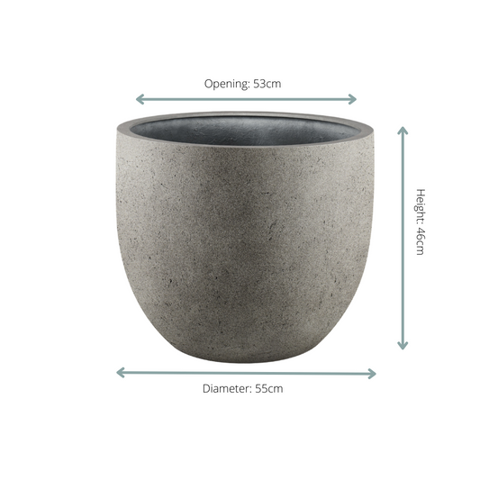 Beton Pflanztopf Grigio Egg – Modern & Pflegeleicht D55xH46